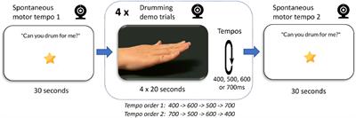 Assessing Sensorimotor Synchronisation in Toddlers Using the Lookit Online Experiment Platform and Automated Movement Extraction